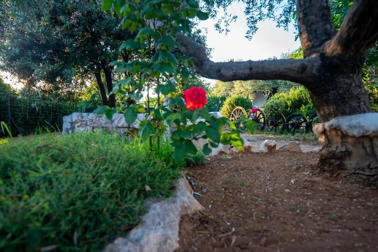 Holiday home Holiday House Cvita Biograd Na Moru Croatia